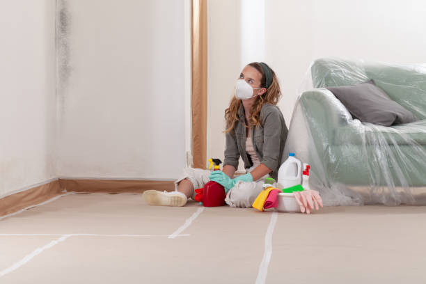 Reliable Mold Testing contractor in La Grange, NC by WQB Mold Removal